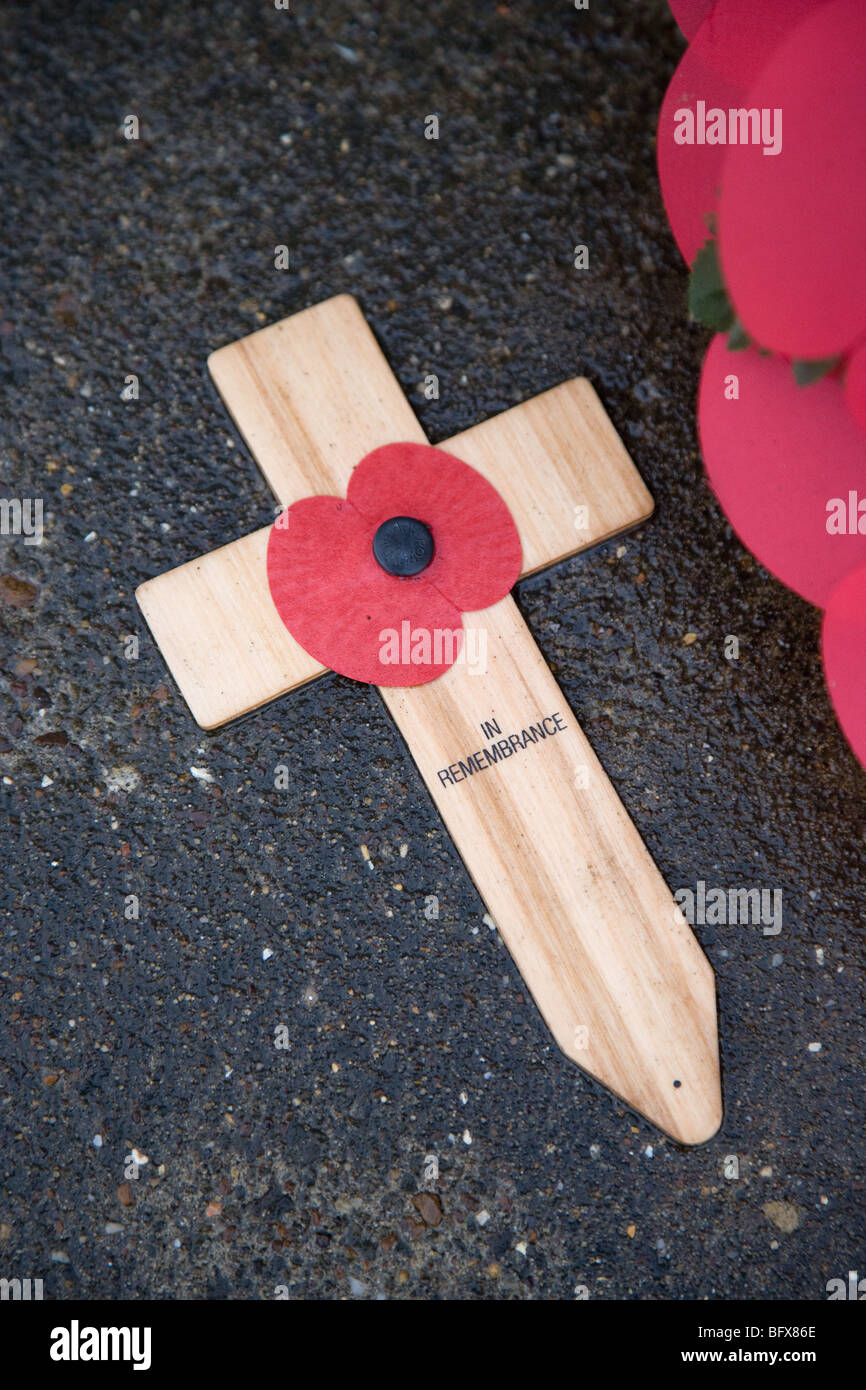 In Remembrance Poppies Stock Photo Alamy In Remembrance Poppies Stock Photo Alamy