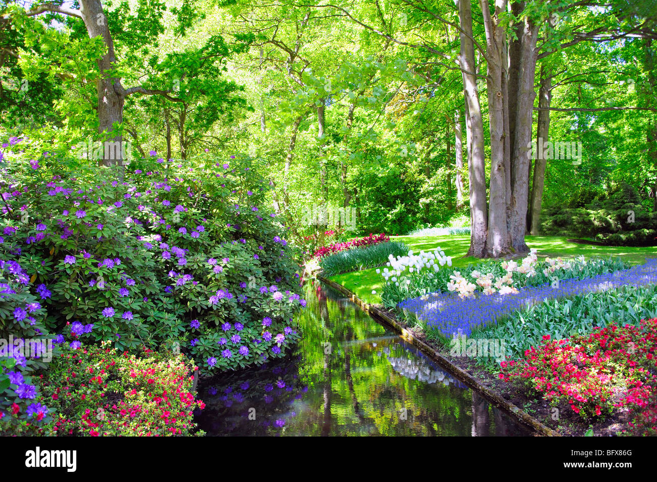 Keukenhof (Holland) the largest flower park in the world Stock Photo