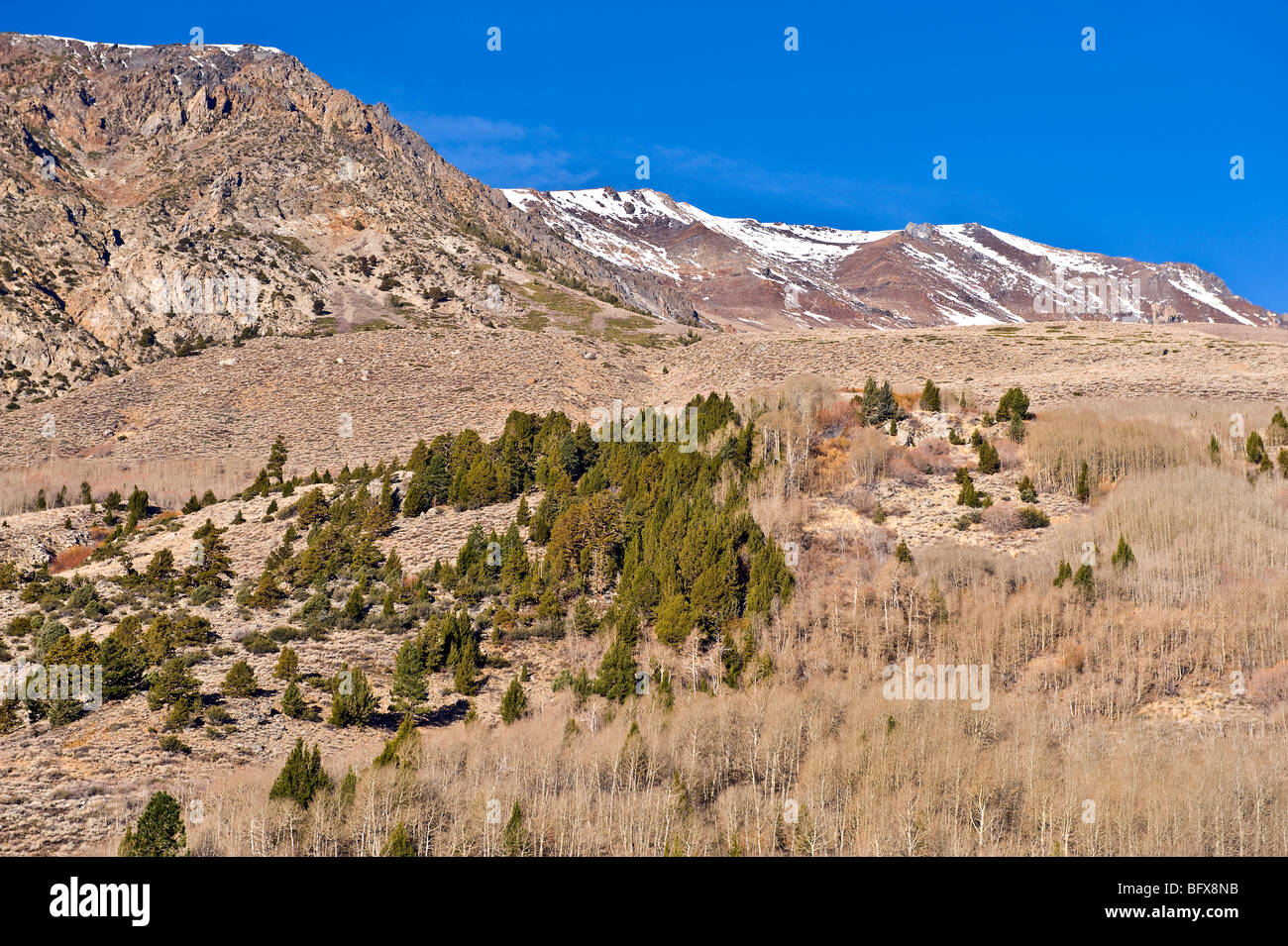 Snowcapped high sierras Stock Photo Alamy