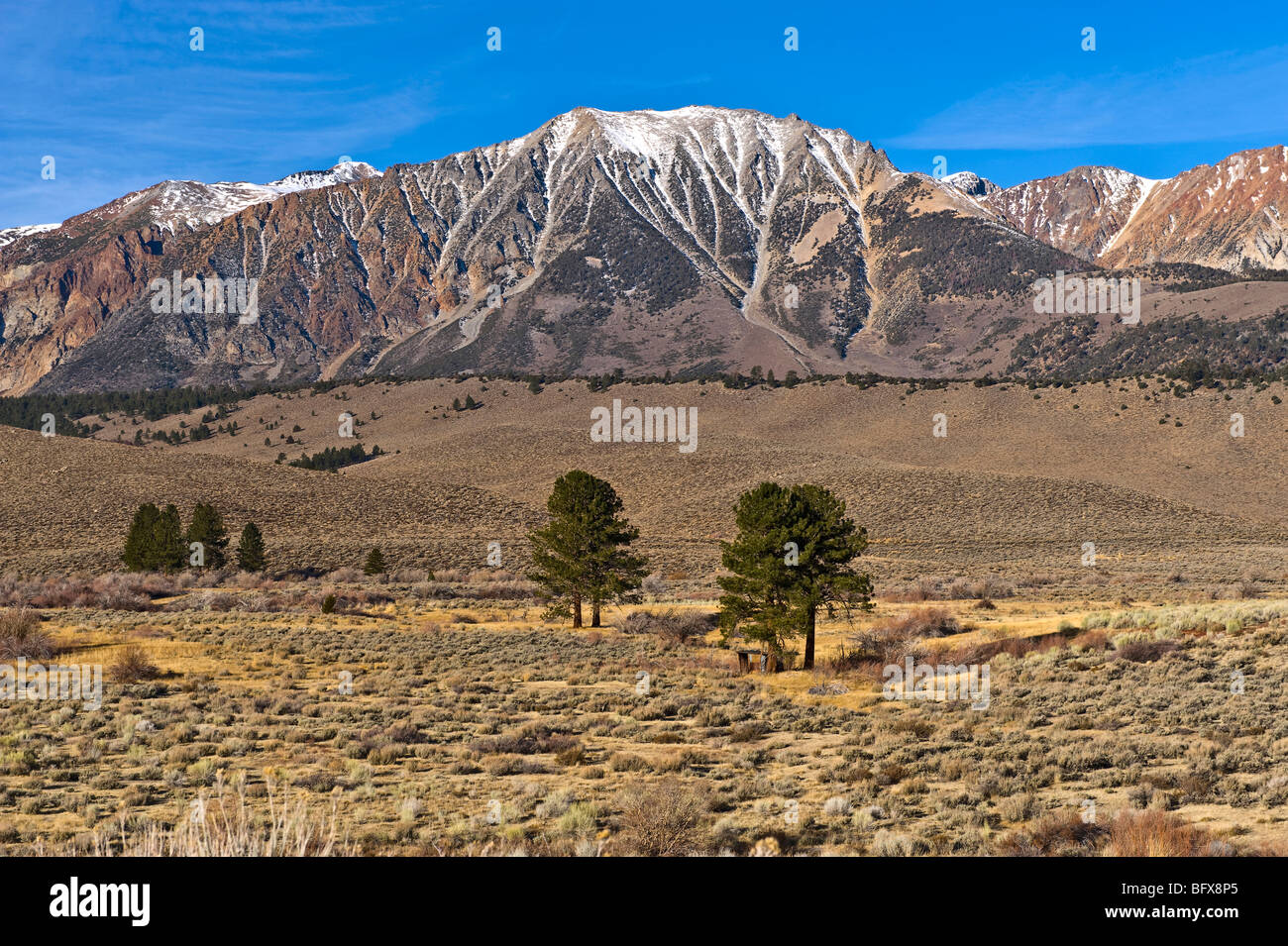 Snow-capped high sierras Stock Photo