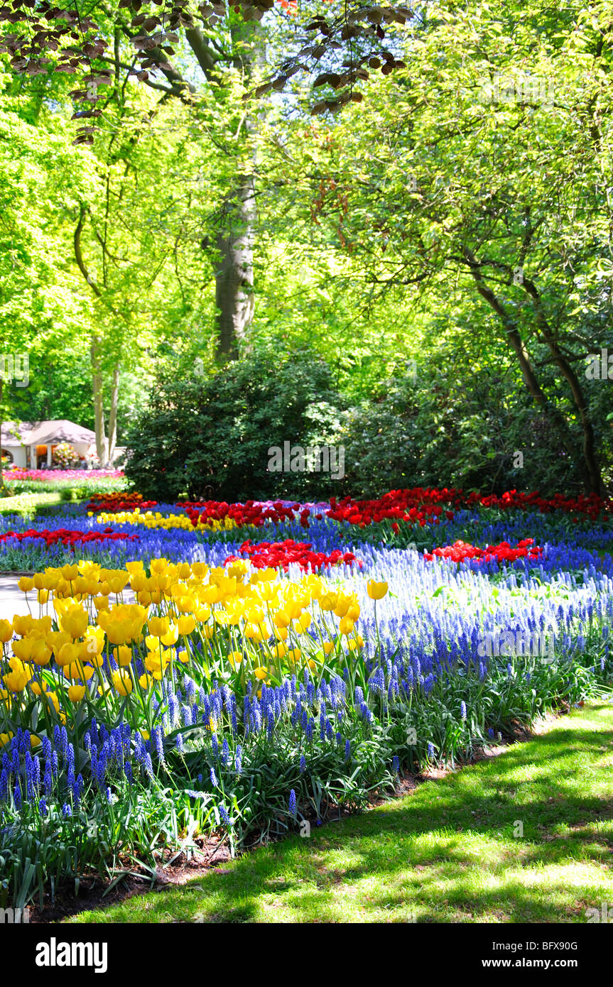 Keukenhof, Netherlands, world's largest flower park Stock Photo Alamy