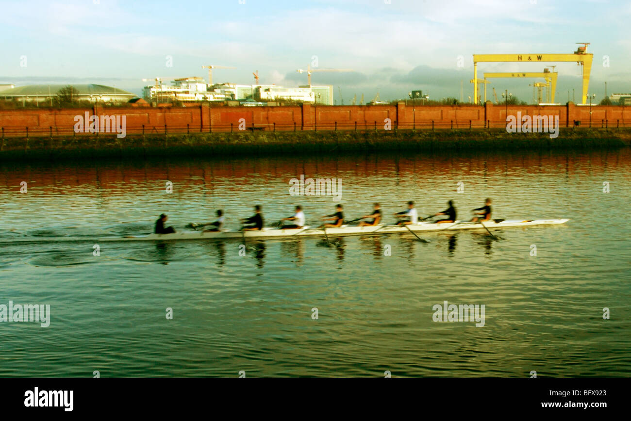 Rowing the river Lagan, Belfast Stock Photo Alamy