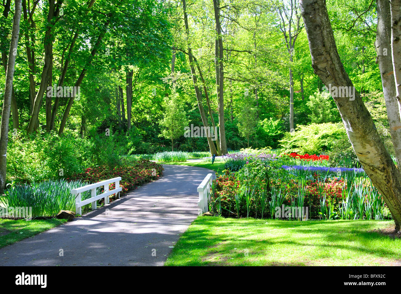 Keukenhof, Netherlands, world's largest flower park Stock Photo Alamy