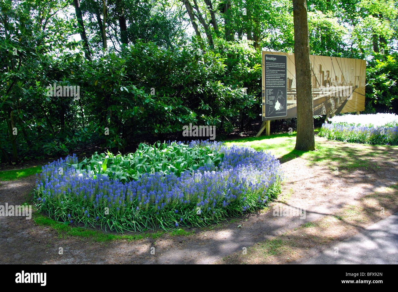 Keukenhof (Holland) the largest flower park in the world celebrating