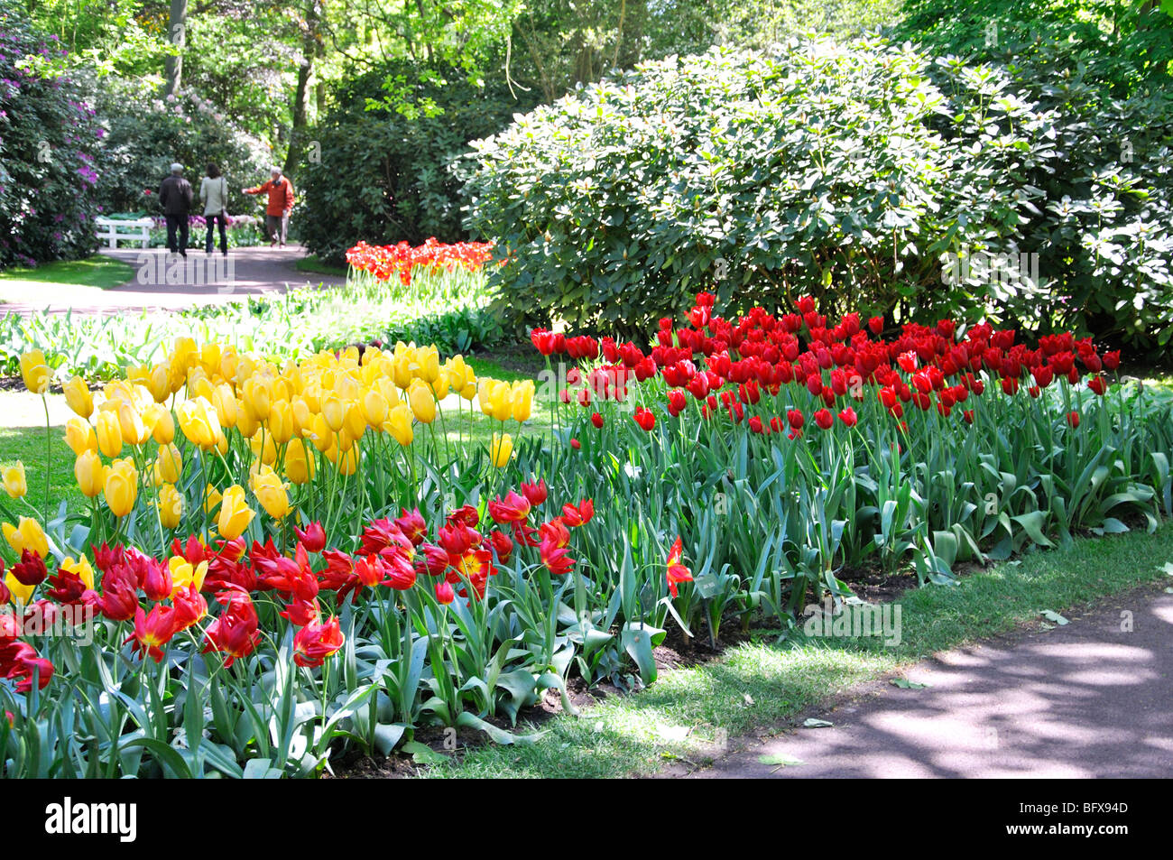 Keukenhof, Netherlands, world's largest flower park Stock Photo Alamy