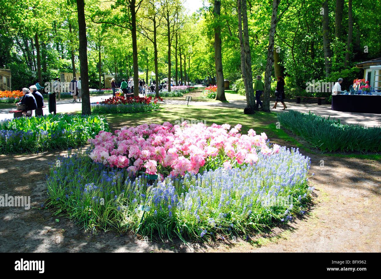 Keukenhof (Holland) the largest flower park in the world Stock Photo
