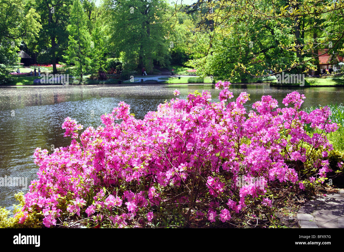 Keukenhof (Holland) the largest flower park in the world Stock Photo