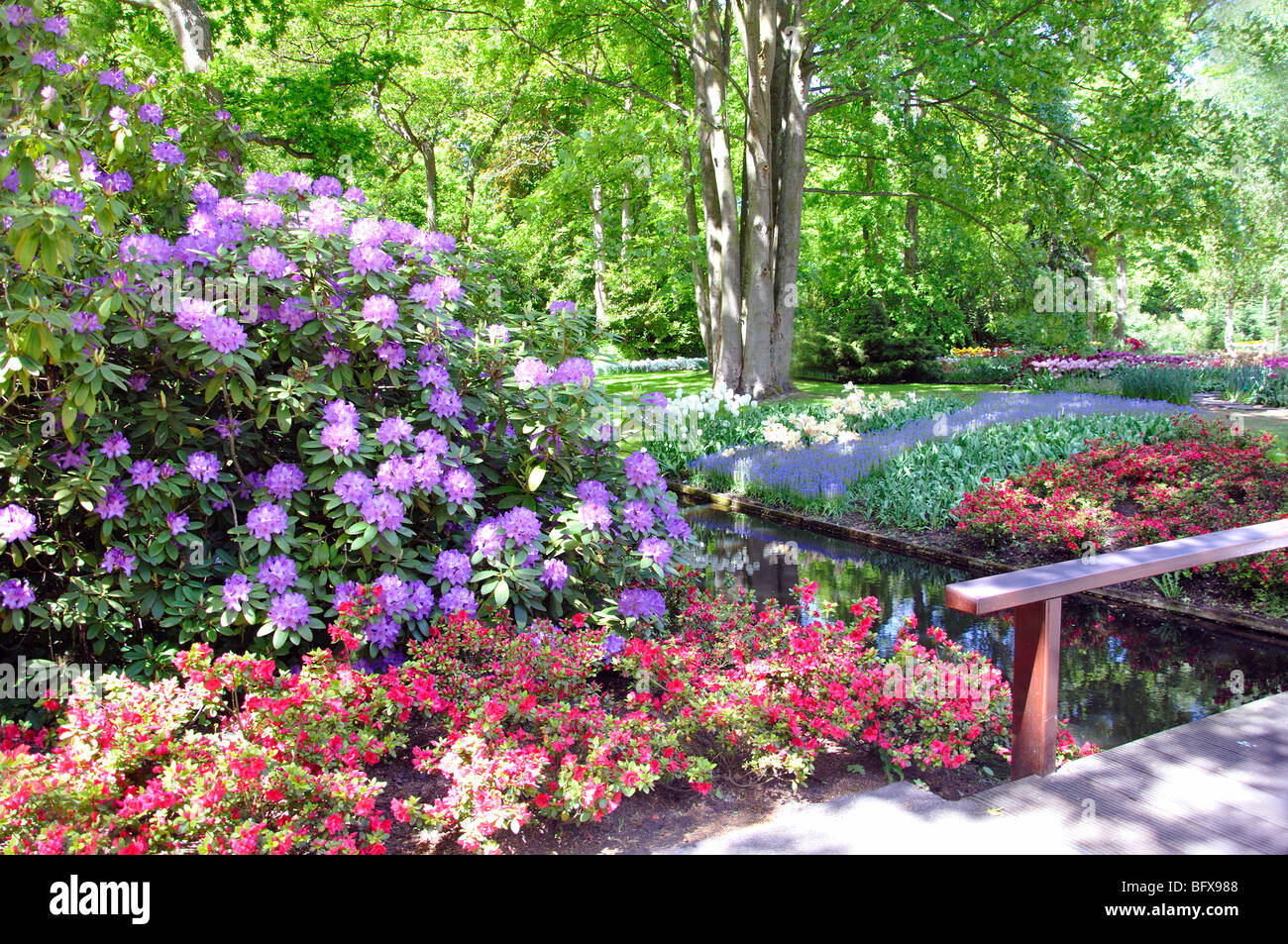 Keukenhof (Holland) the largest flower park in the world Stock Photo