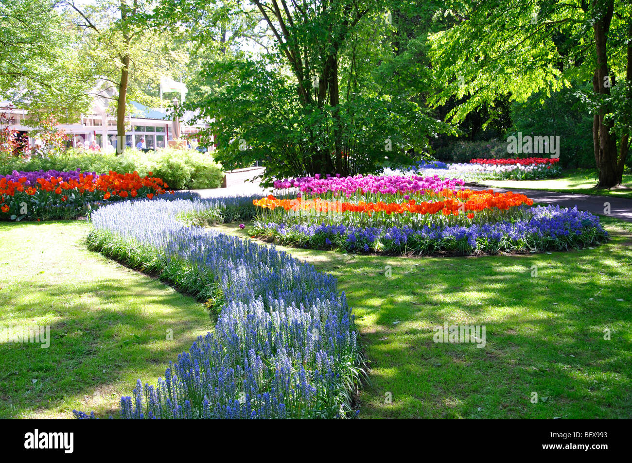 Keukenhof (Holland) the largest flower park in the world Stock Photo