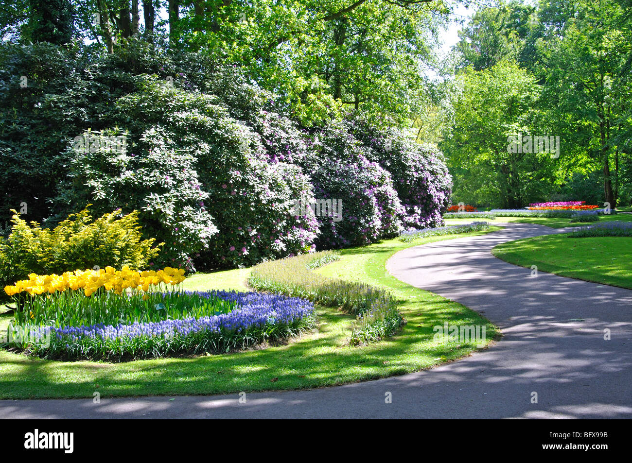 Keukenhof (Holland) the largest flower park in the world Stock Photo