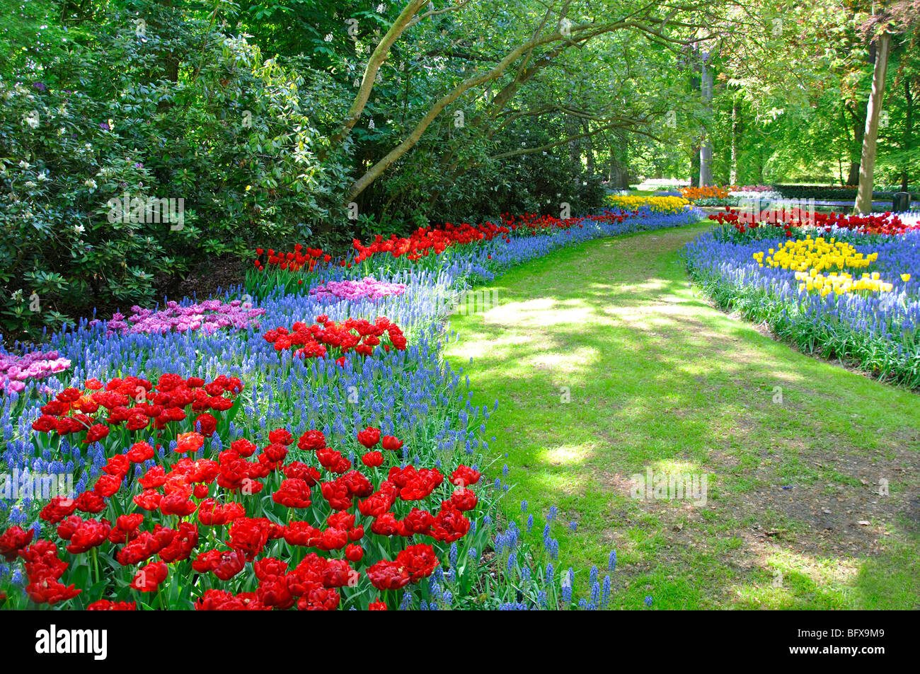 Keukenhof, Netherlands, world's largest flower park Stock Photo Alamy