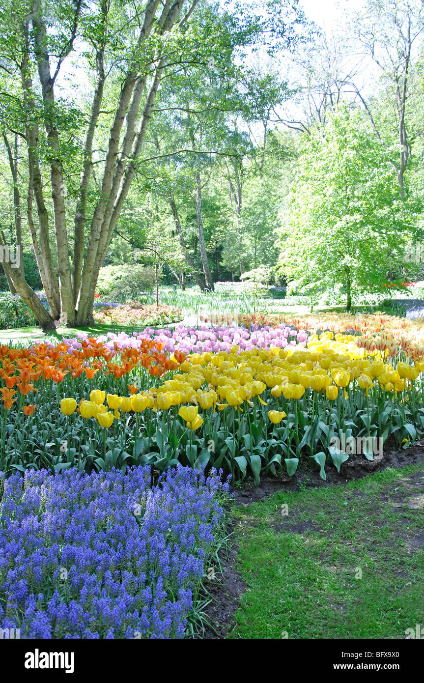 Keukenhof (Holland) the largest flower park in the world Stock Photo