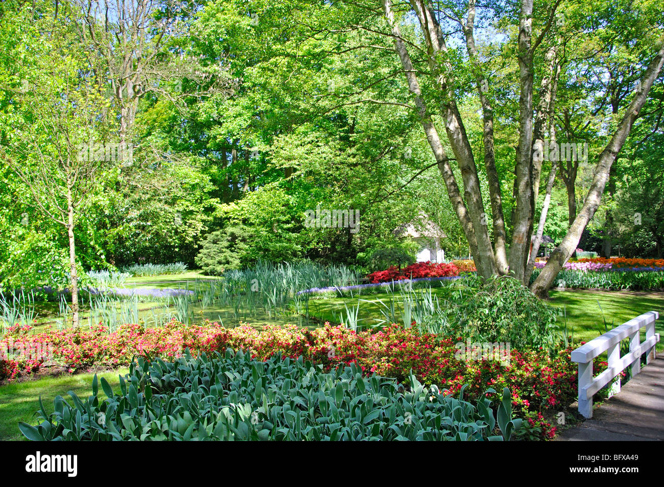 Keukenhof, Netherlands, world's largest flower park Stock Photo Alamy