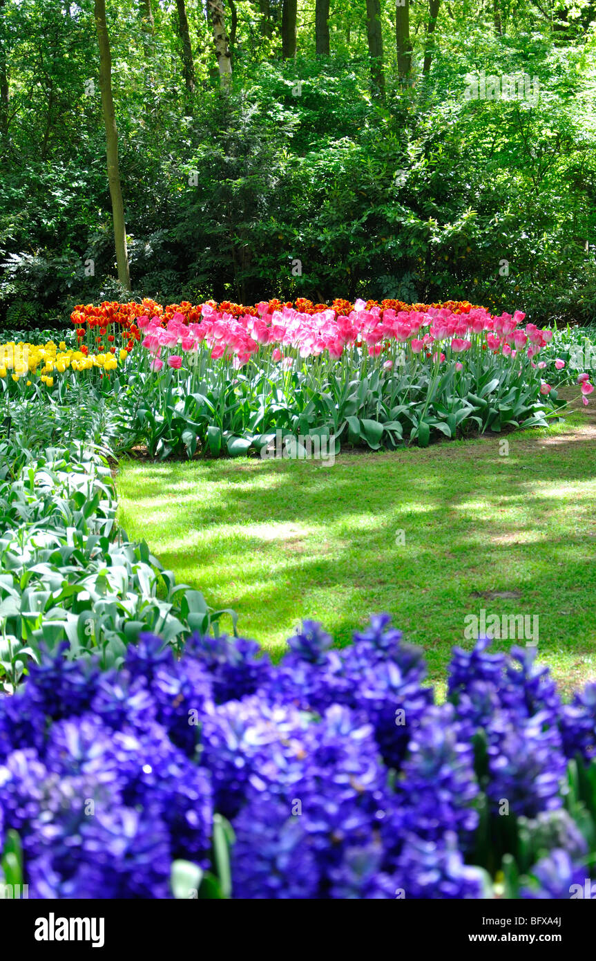 Keukenhof, Netherlands, world's largest flower park Stock Photo Alamy