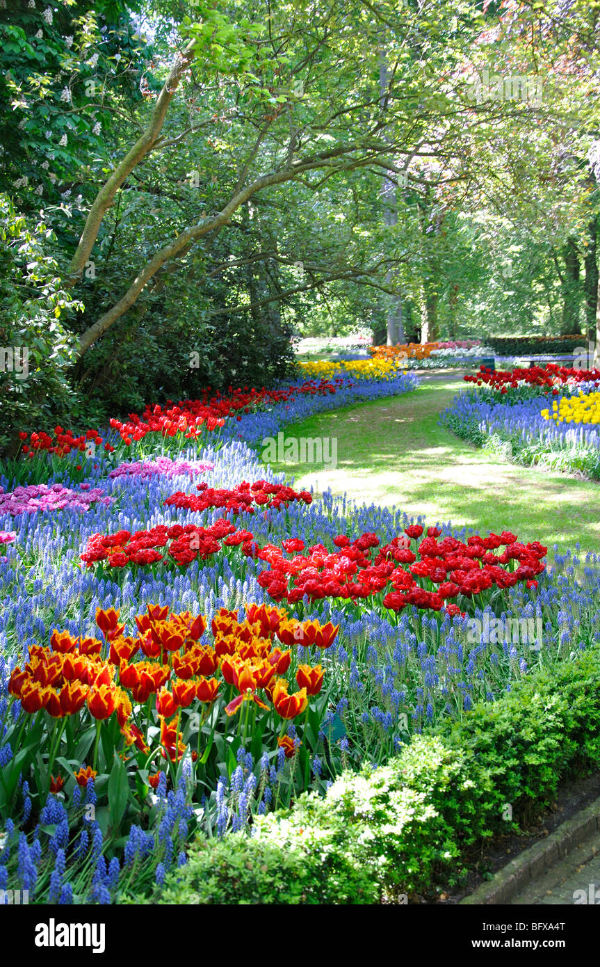 Worlds largest flowers hires stock photography and images Alamy