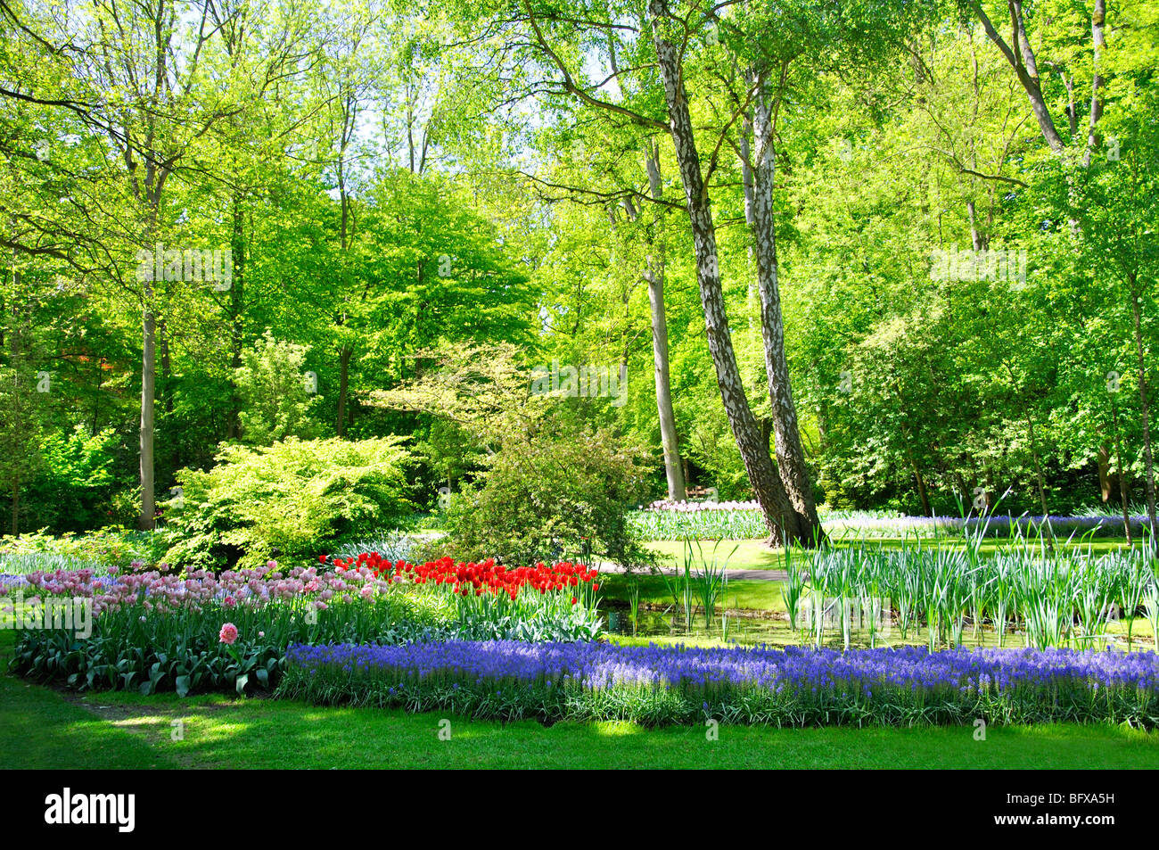 Keukenhof, Netherlands, world's largest flower park Stock Photo Alamy