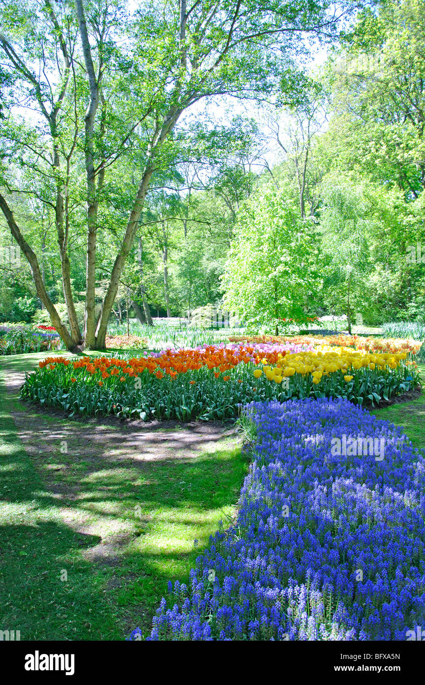 Keukenhof, Netherlands, world's largest flower park Stock Photo Alamy