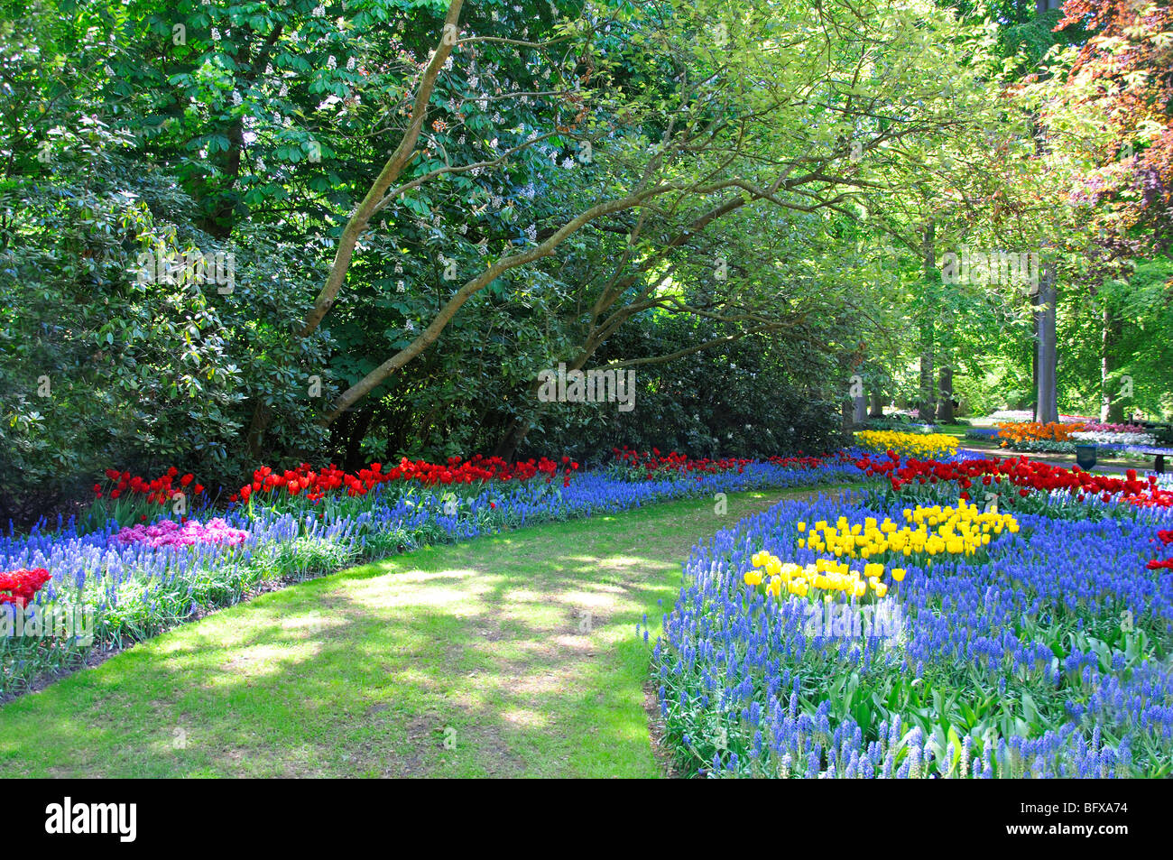 Keukenhof, Netherlands, world's largest flower park Stock Photo Alamy