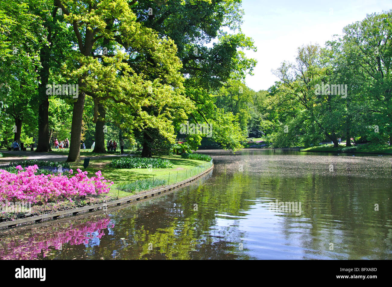 Keukenhof (Holland) the largest flower park in the world Stock Photo