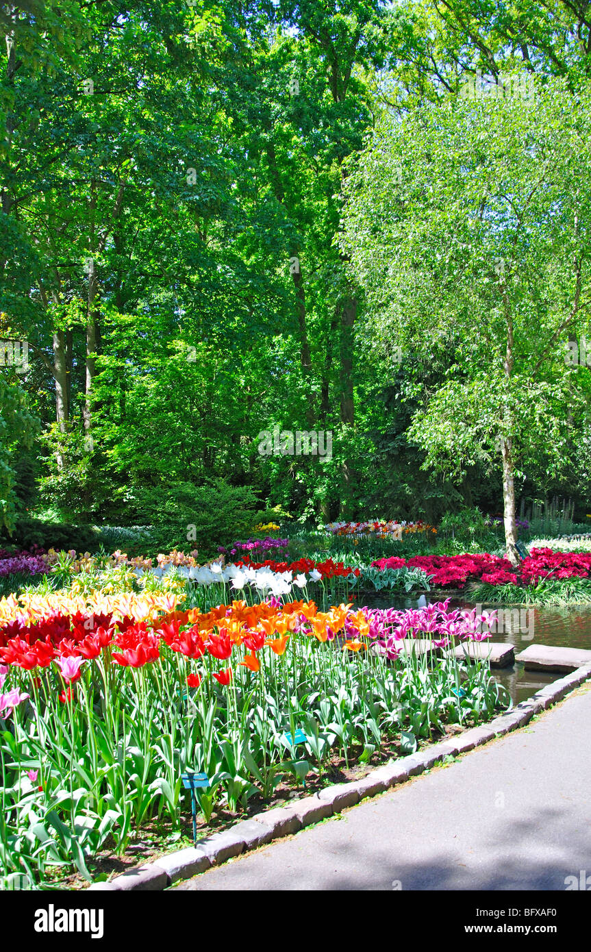 Keukenhof, Netherlands, world's largest flower park Stock Photo Alamy