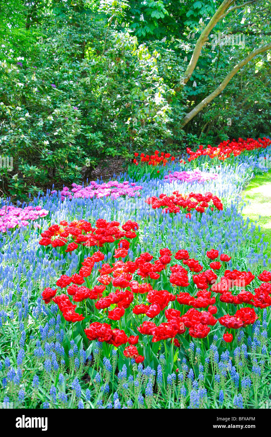 Keukenhof, Netherlands, world's largest flower park Stock Photo Alamy