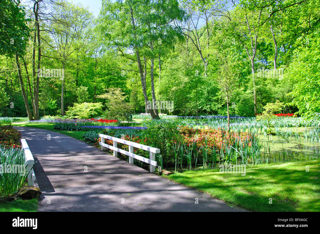 Keukenhof, Netherlands, world's largest flower park Stock Photo Alamy
