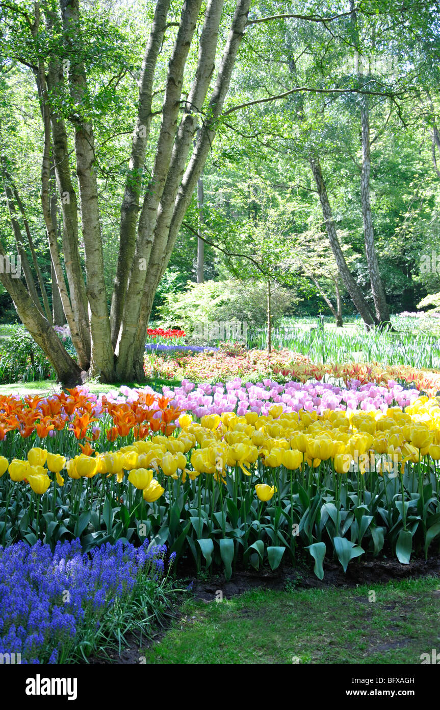 Keukenhof, Netherlands, world's largest flower park Stock Photo Alamy