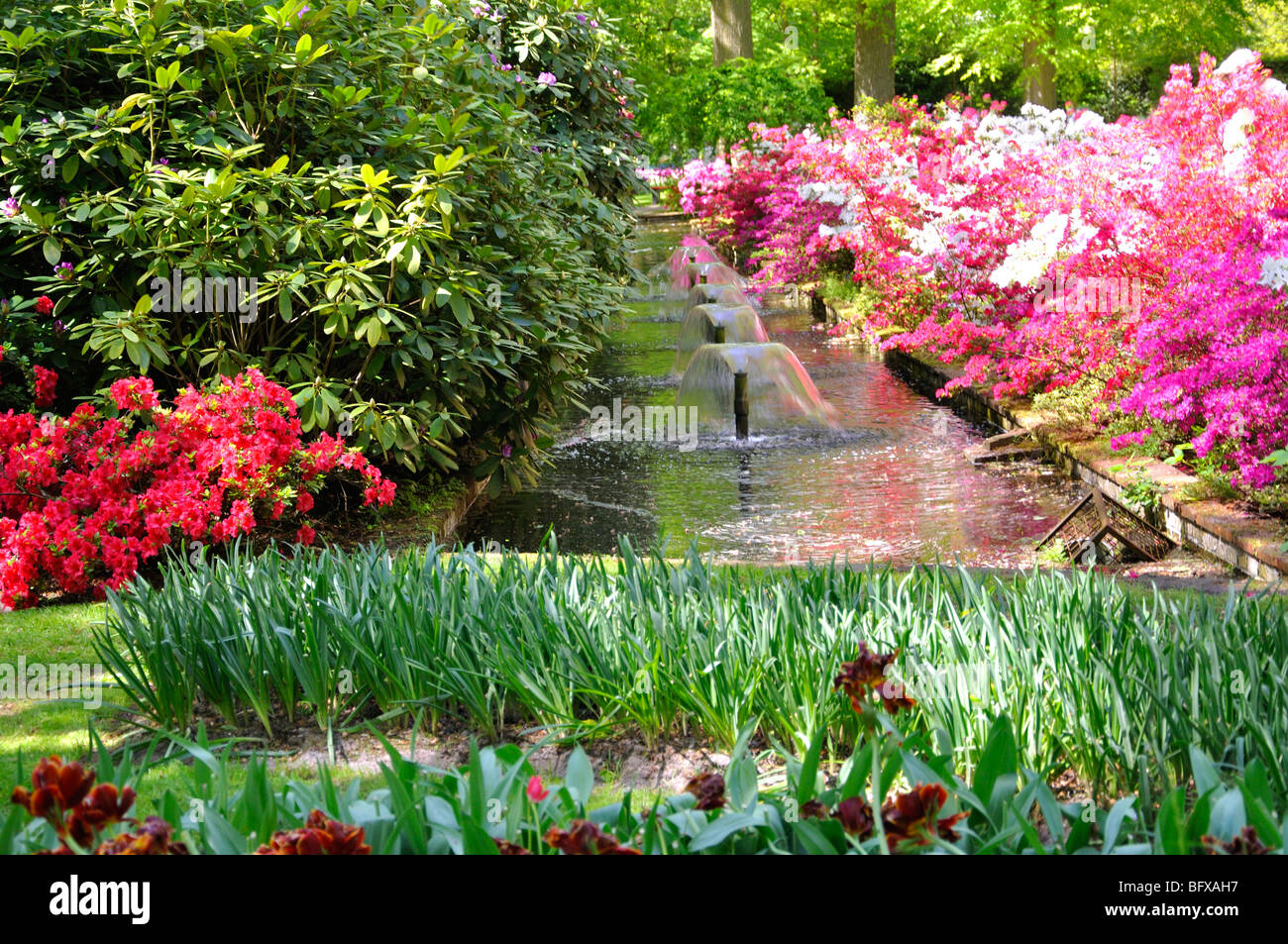 Keukenhof, Netherlands, world's largest flower park Stock Photo Alamy