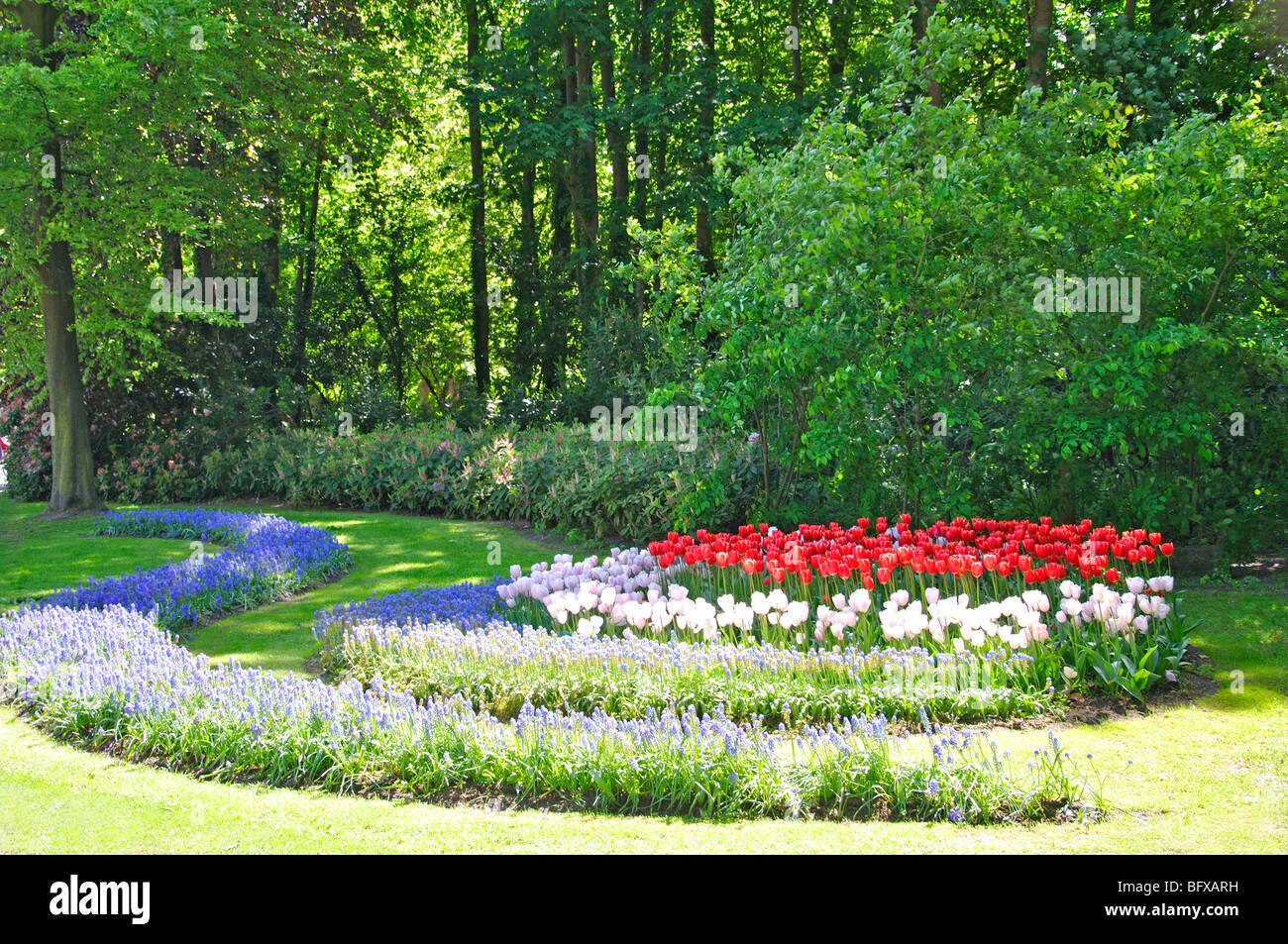 Keukenhof, Netherlands, world's largest flower park Stock Photo Alamy