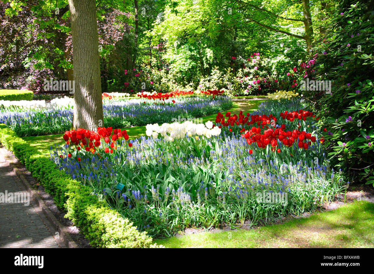 Keukenhof, Netherlands, world's largest flower park Stock Photo Alamy