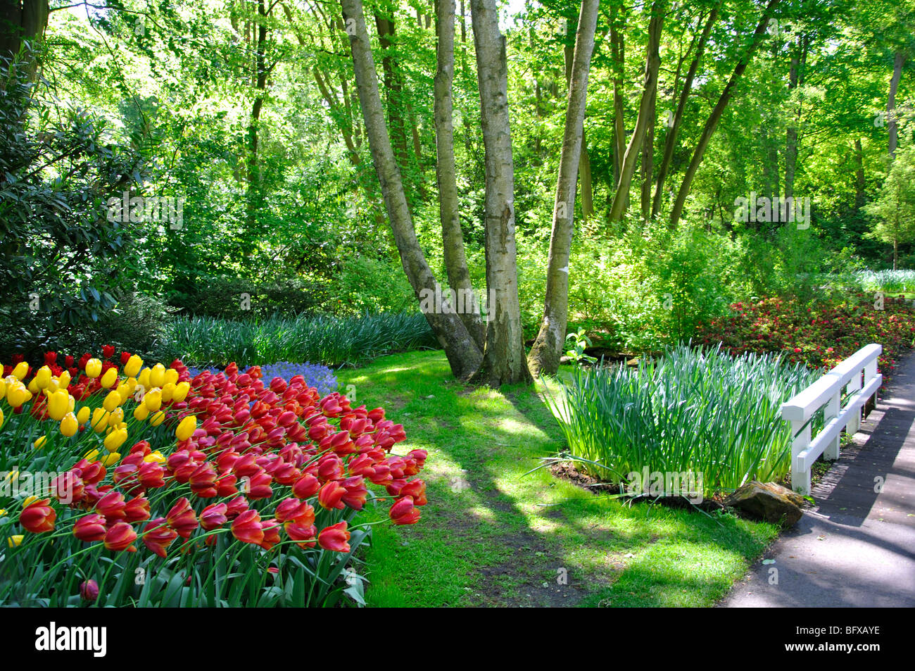 Worlds largest flowers hires stock photography and images Alamy