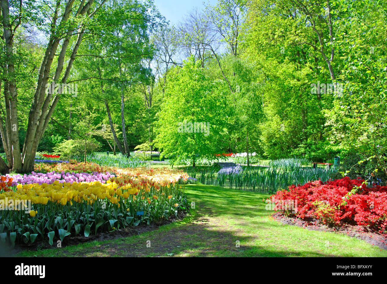 Keukenhof (Holland) the largest flower park in the world Stock Photo