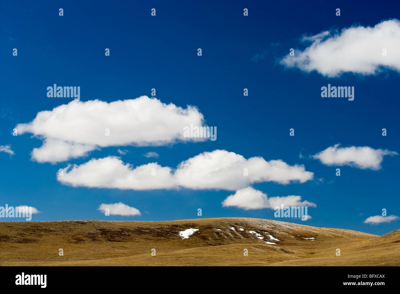 Remnant snow in rolling prairie, Cypress Hills Interprovincial Park, Alberta, Canada Stock Photo