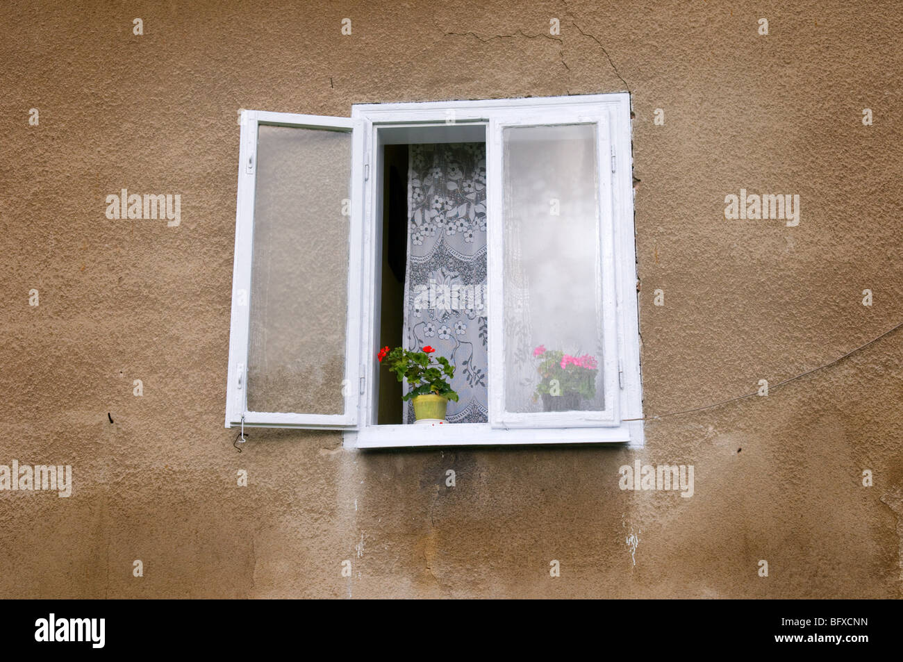 Open window with geraniums and lace curtains, Bartkowa, Poland. Stock Photo