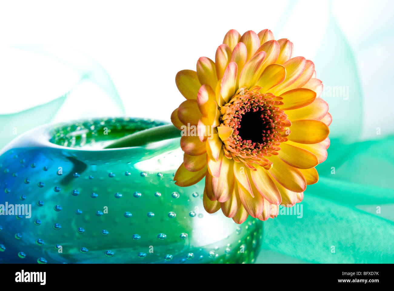 Yellow margarita flower in a colorful vase Stock Photo Alamy