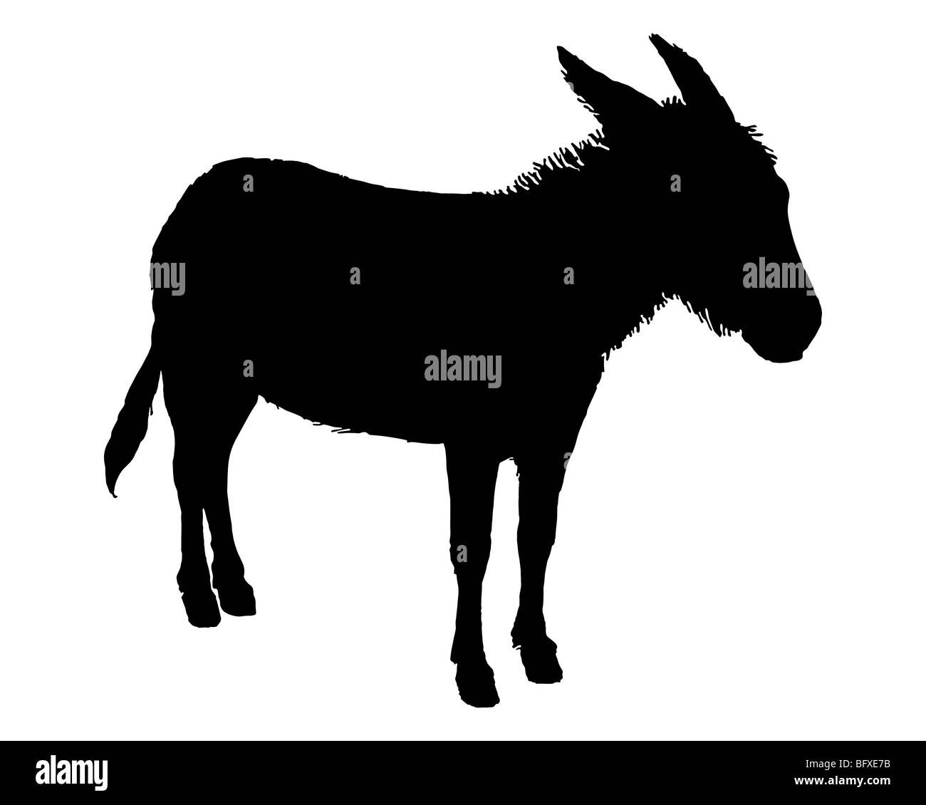 The black silhouette of a donkey on white Stock Photo - Alamy