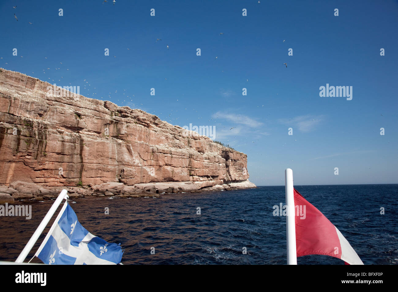 On the way to Bonaventure island in Gaspésie, Quebec Stock Photo Alamy