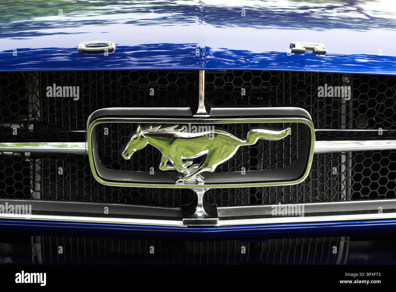 Mustang V8 Ford Shelby Pferd Pin Badge Kult Logo 