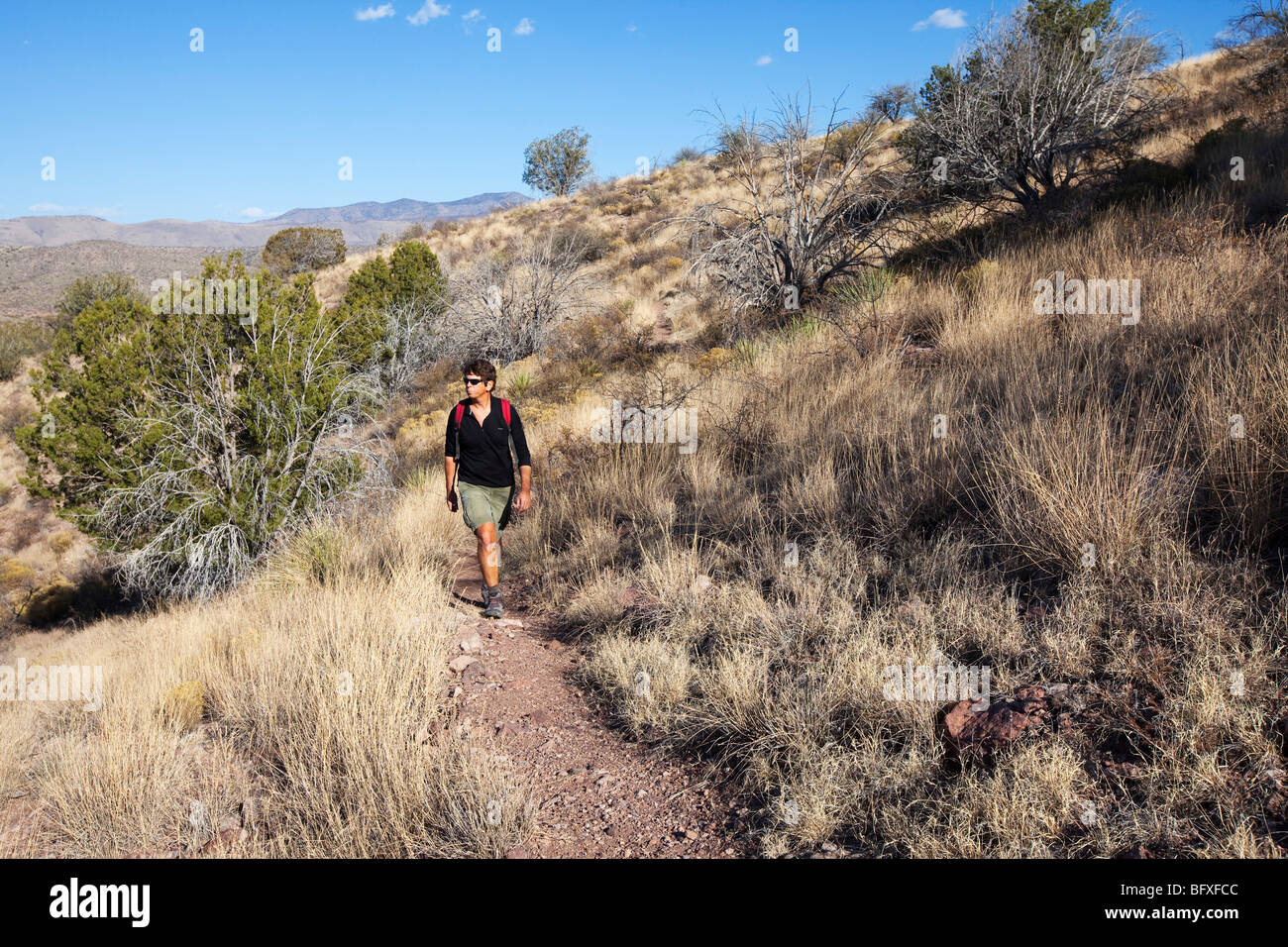 Hiking on the Vista Trail, Muleshoe Ranch, Arizona Stock Photo