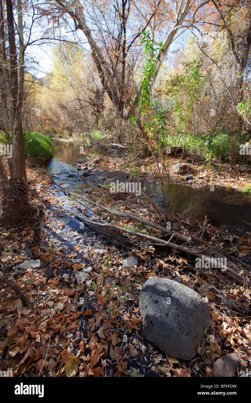 Perennial Stream, Muleshoe Ranch Nature Preserve, Arizona Stock Photo