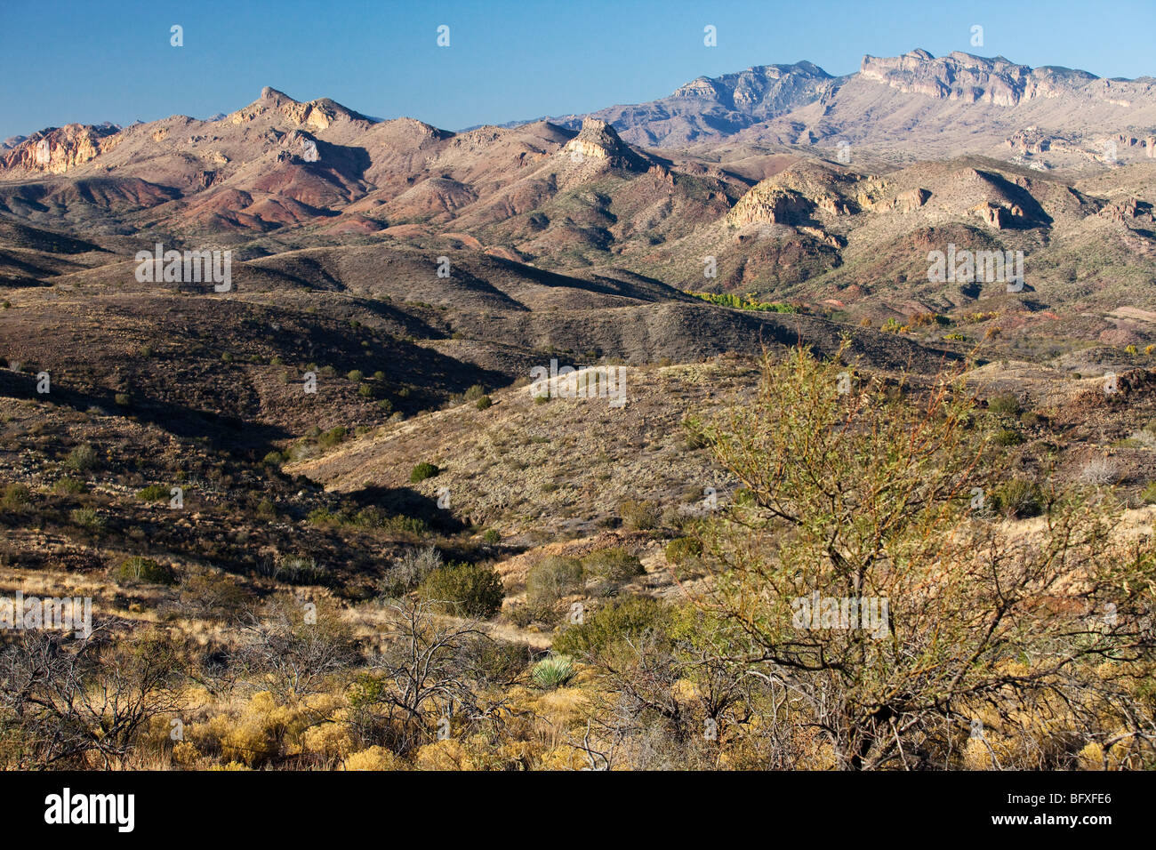 Galiuro Mountains seen along the scenic Vista Trail, Muleshoe Ranch, Arizona Stock Photo