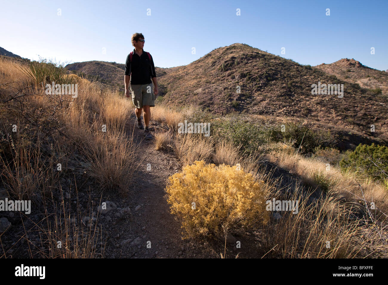 Hiking on the Vista Trail, Muleshoe Ranch, Arizona Stock Photo
