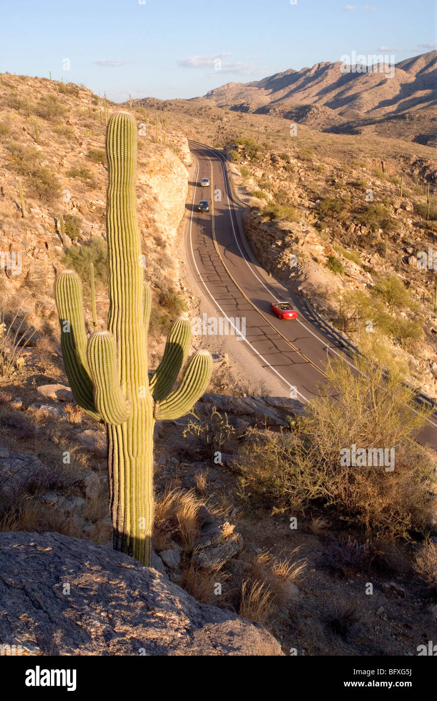 Scenic Mt. Lemmon Hwy heads up to the top of the Catalina mountains in Tucson AZ. Stock Photo