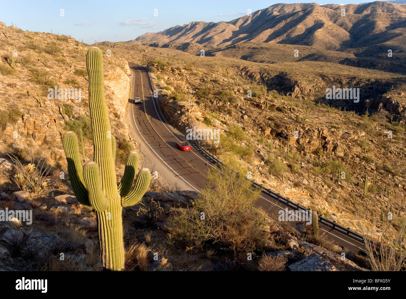 Scenic Mt. Lemmon Hwy heads up to the top of the Catalina mountains in Tucson AZ. Stock Photo