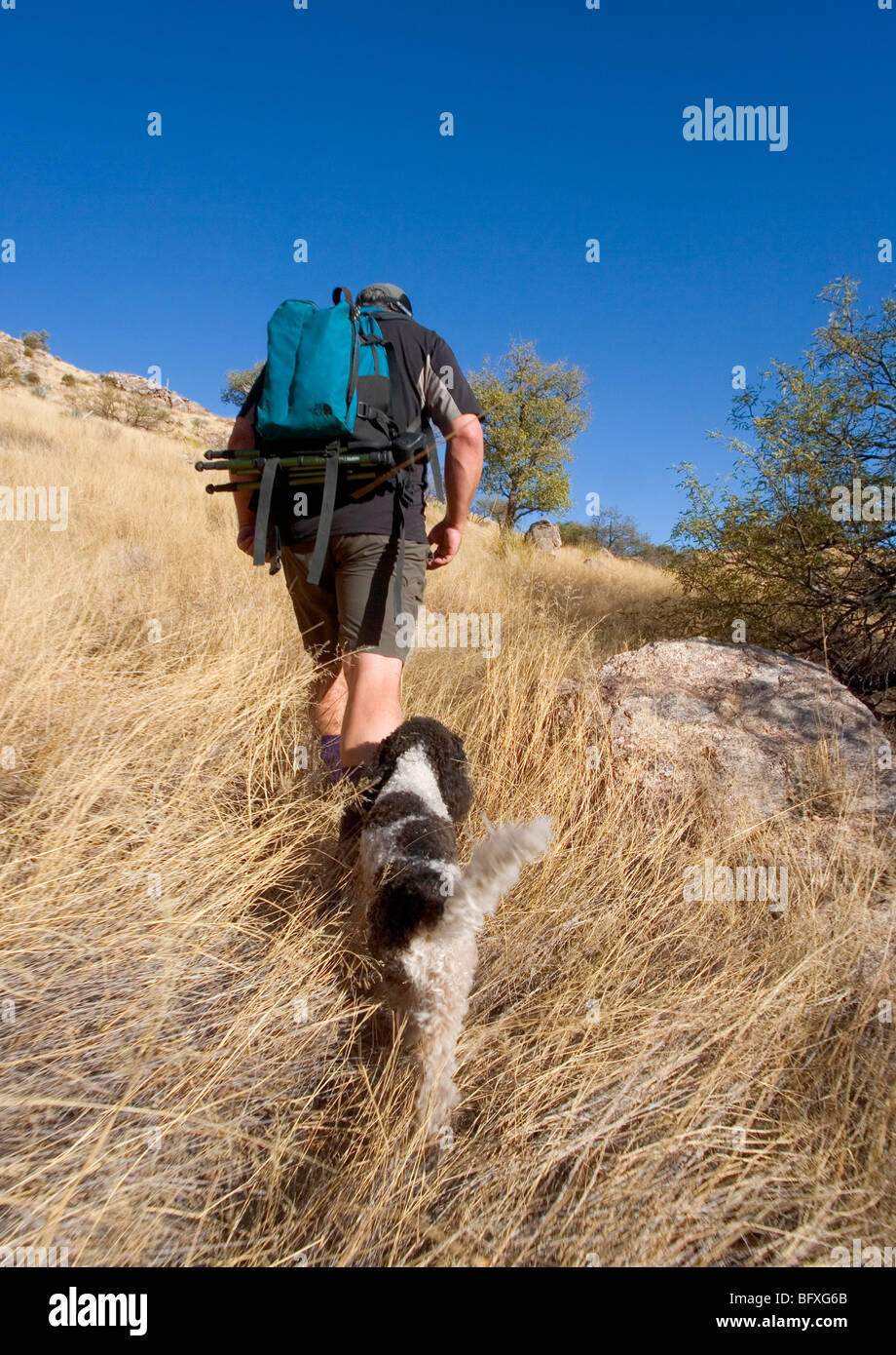 Backpacking with pets hi-res stock photography and images - Alamy