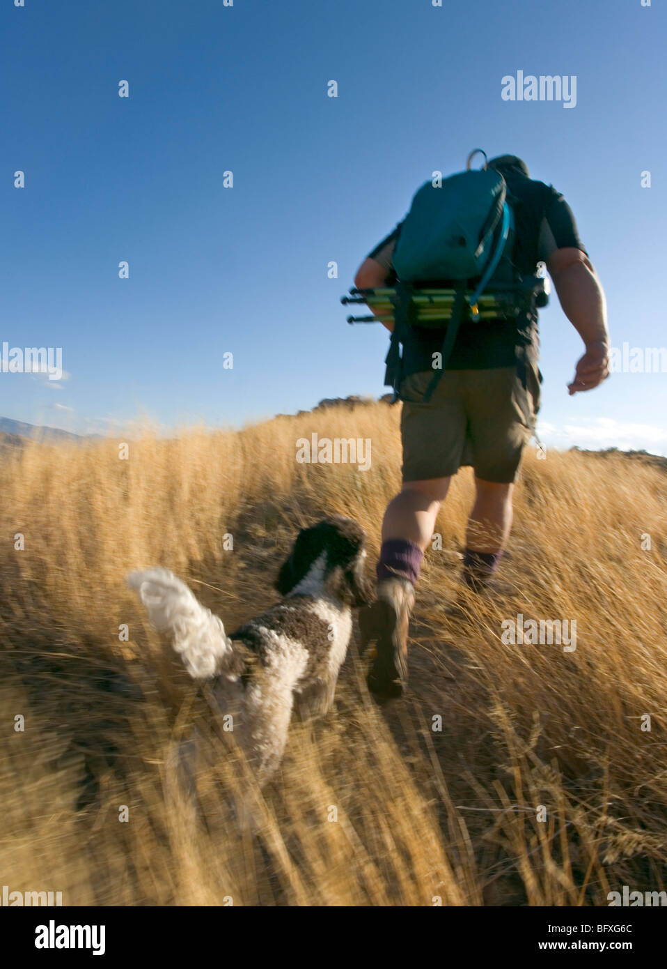 Hike with dog hi-res stock photography and images - Alamy