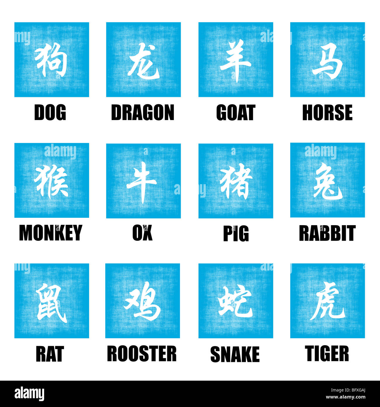 Chinese Zodiac Animals Lunar Astrology Art Set Stock Photo