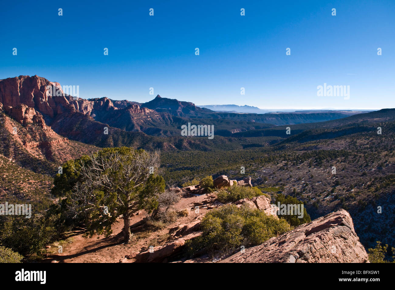 Kolob Canyons, Zion National Park, Utah, USA Stock Photo Alamy