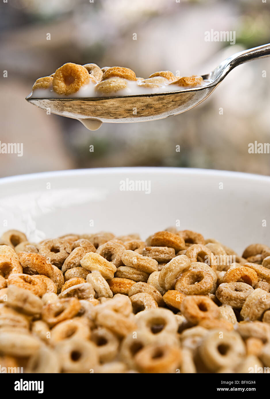 Bowl of cheerios being dipped into with a big spoon. Stock Photo
