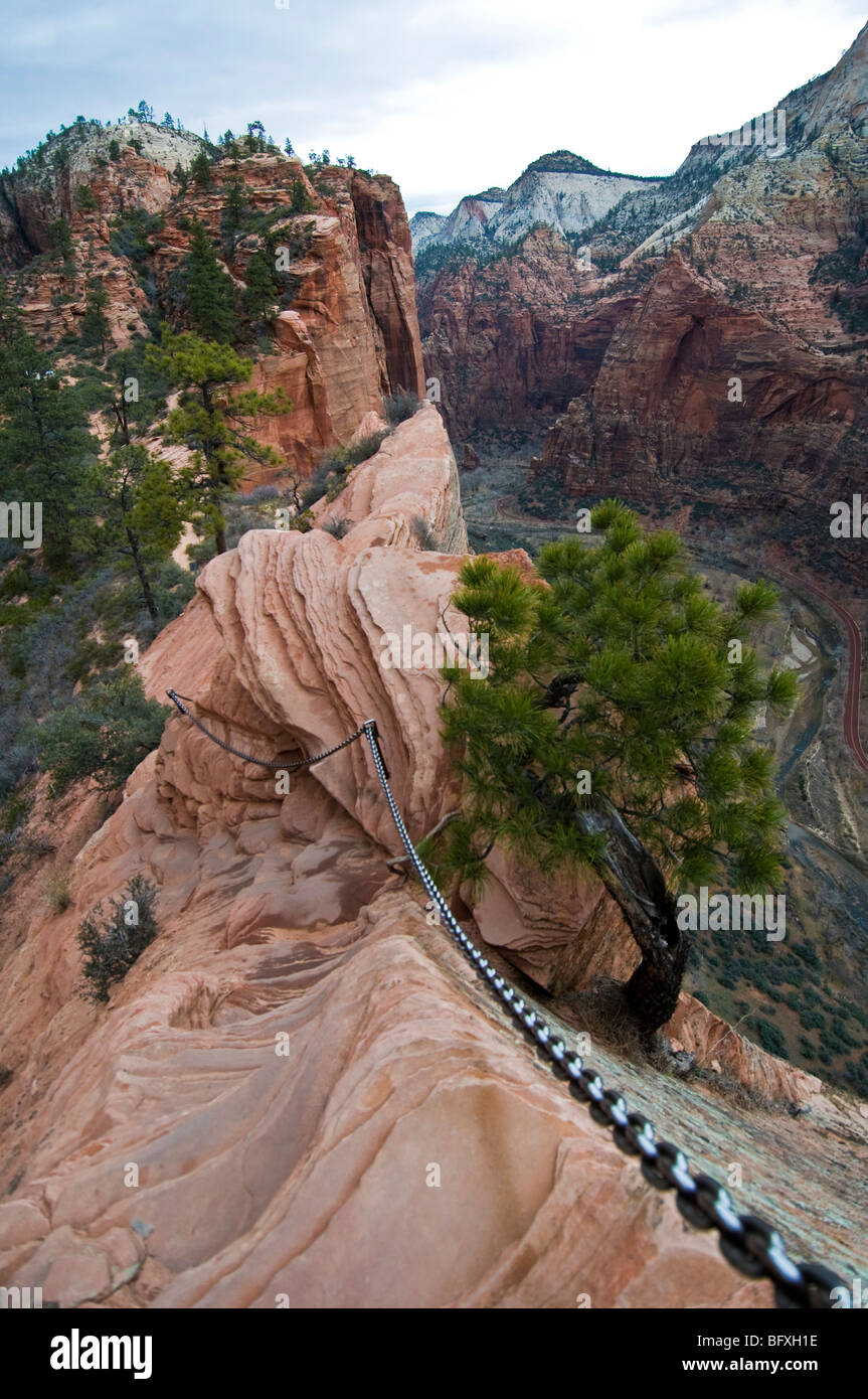 Safety chain along dangerous section of Angel's Landing Trail, Zion  National Park, Utah, USA Stock Photo - Alamy